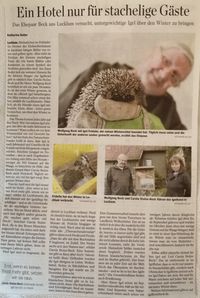 Zeitungsartikel aus der Wolfenbütteler Zeitung